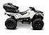 2017 Arctic Cat Alterra TRV 550 for sale 200867761